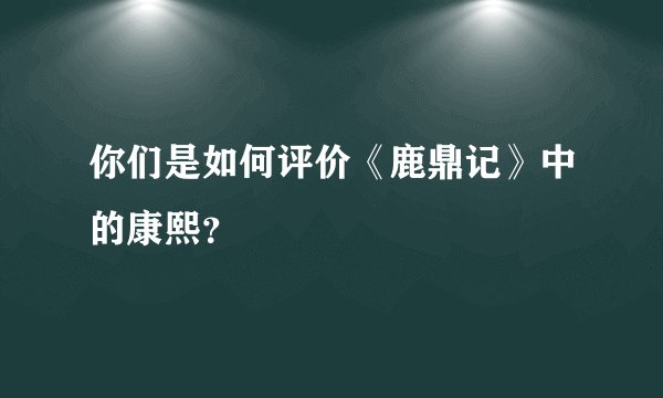 你们是如何评价《鹿鼎记》中的康熙？