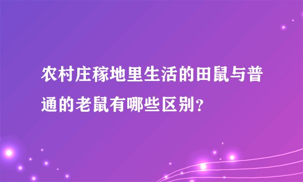 农村庄稼地里生活的田鼠与普通的老鼠有哪些区别？