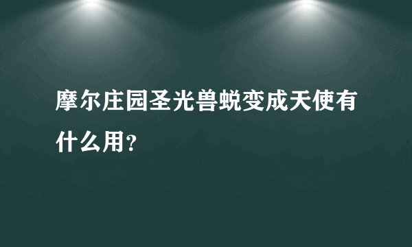摩尔庄园圣光兽蜕变成天使有什么用？