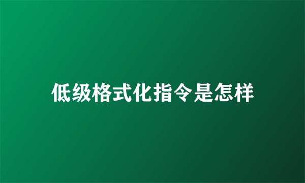 低级格式化指令是怎样