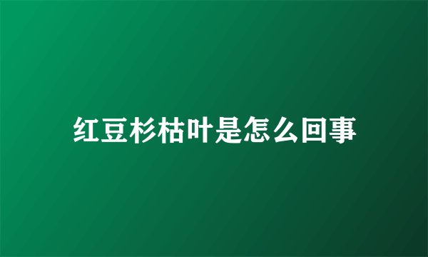 红豆杉枯叶是怎么回事