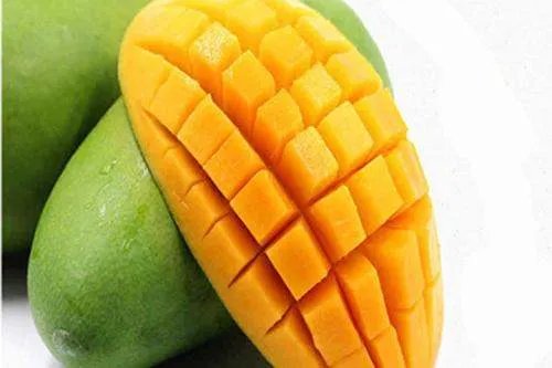 越南青芒百度百科