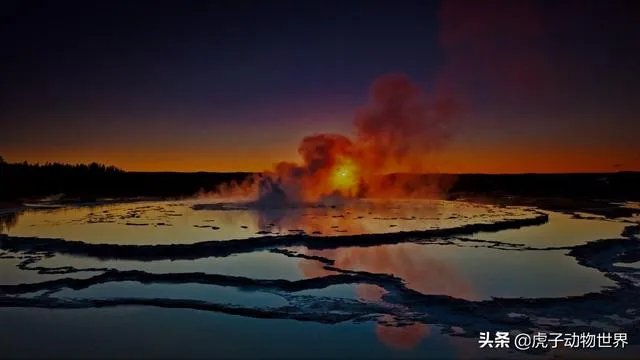 新手如何学习摄影？