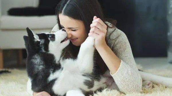 为什么很多人喜欢养宠物?