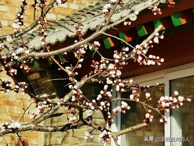 退休后想在附近农村租个房