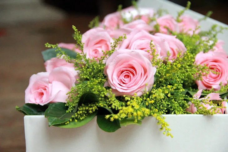 21朵粉玫瑰花语是什么 不同颜色的玫瑰花语