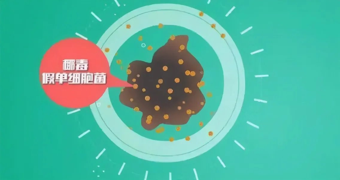 8人死亡，鸡西中毒事件敲警钟，你还敢乱吃吗？