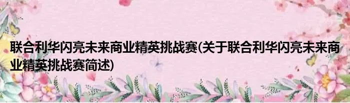 联合利华闪亮未来商业精英挑战赛(关于联合利华闪亮未来商业精英挑战赛简述)