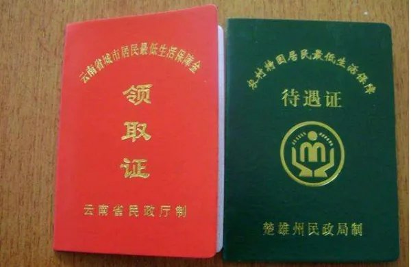 平远低保名单查询