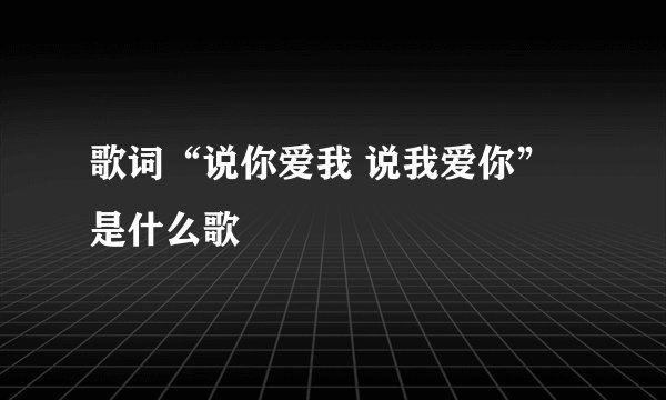 歌词“说你爱我 说我爱你”是什么歌