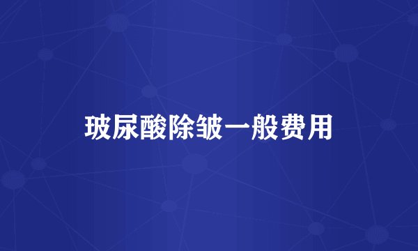 玻尿酸除皱一般费用