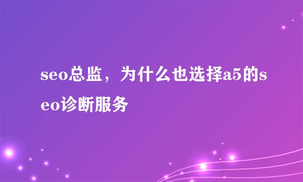 seo总监，为什么也选择a5的seo诊断服务
