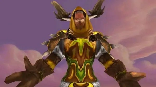 《魔兽世界》怀旧服德鲁伊T2怒风套装属性出处一览