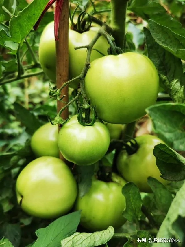 退休后想在附近农村租个房