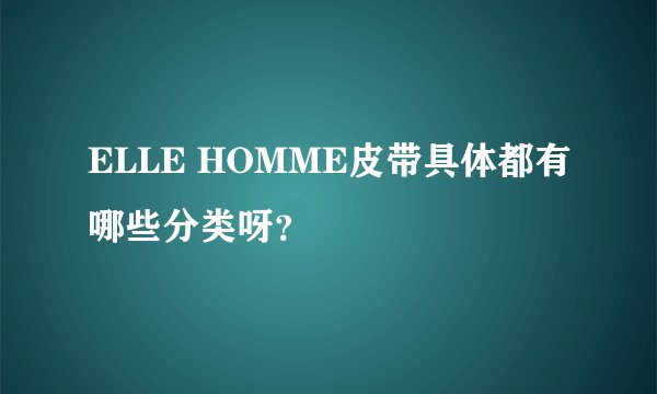 ELLE HOMME皮带具体都有哪些分类呀？