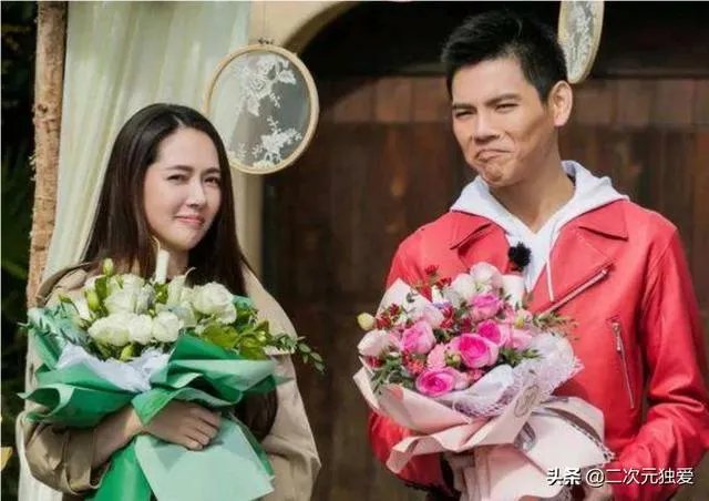 为什么有人说郭碧婷不喜欢向佐？