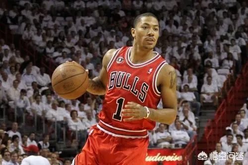 森林狼主帅锡伯杜被解雇，霍伊博格将成为候选人，为什么罗斯球迷很悲观？