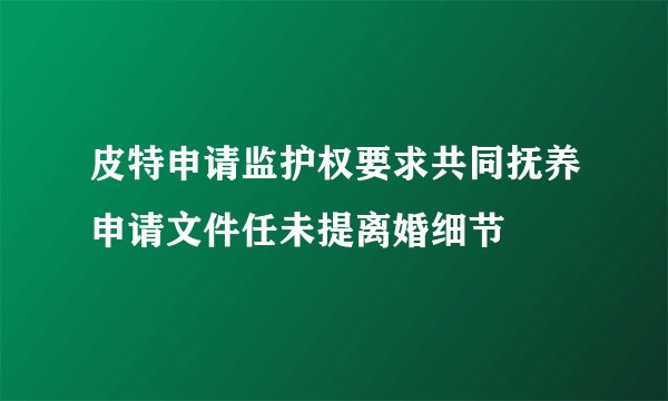皮特申请监护权要求共同抚养申请文件任未提离婚细节