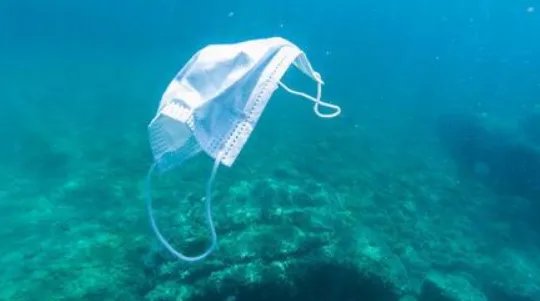 去年超15亿只废弃口罩流入海洋，给海洋生物造成了怎样的毁灭性伤害？