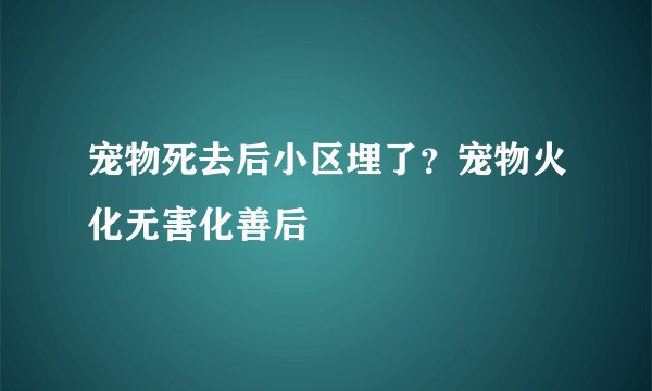 宠物死去后小区埋了？宠物火化无害化善后
