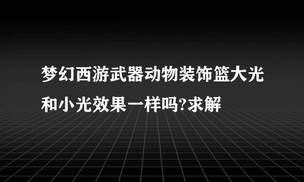 梦幻西游武器动物装饰篮大光和小光效果一样吗?求解