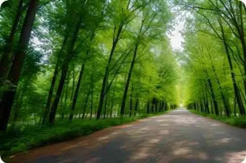 潮州移动主页地址