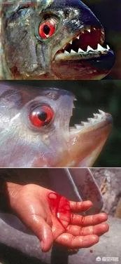 葛利斯581d行星有外星人吗？有哪些科学的解释？