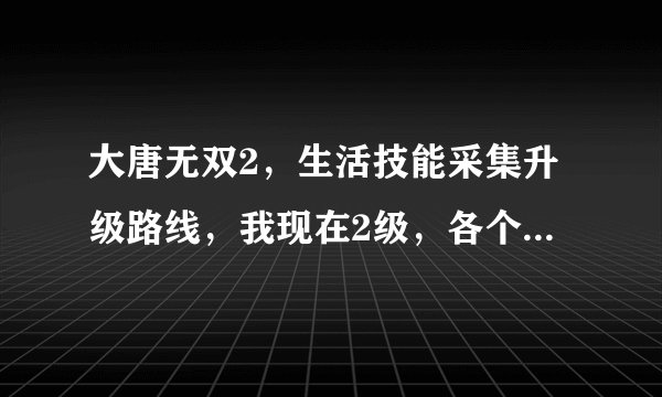 大唐无双2，生活技能采集升级路线，我现在2级，各个技能去哪里升级快，路线怎么样走的。制造技能哪个赚钱