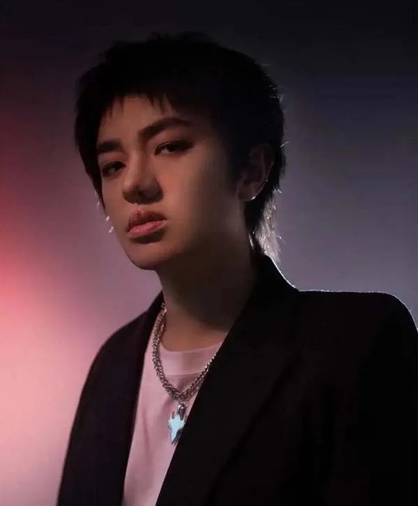 王祖蓝堪称是模仿天花板,模仿华晨宇不能说像只能说是一模一样,你觉得呢?