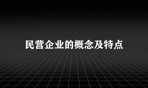 民营企业的概念及特点