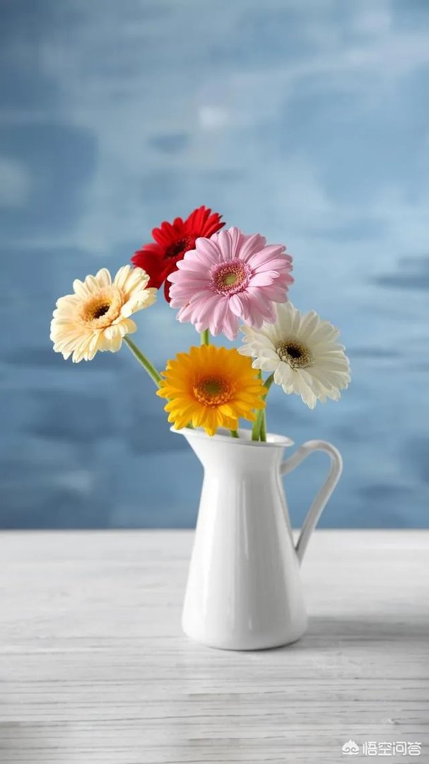 格兰仕3天发7篇声明怼天猫：将建同类商家群。大家怎么看？