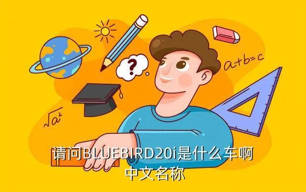 蓝鸟校车，请问BLUEBIRD20i是什么车啊 中文名称