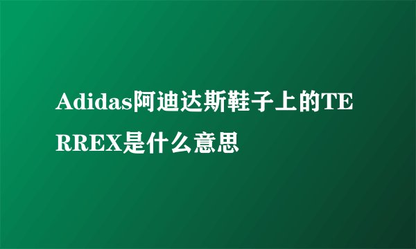 Adidas阿迪达斯鞋子上的TERREX是什么意思