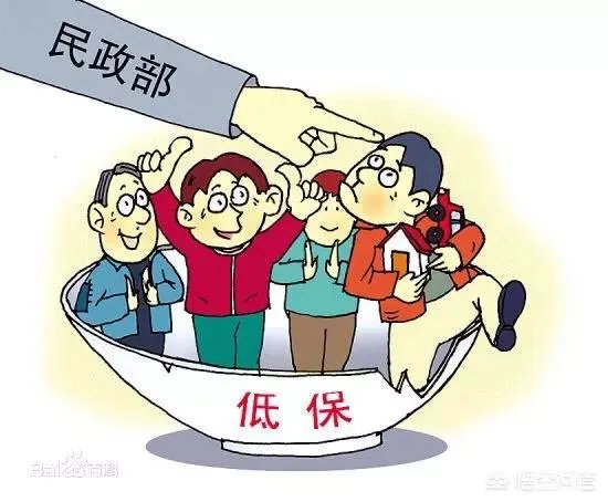 农村户口，有重大疾病、有车、有房可以办低保吗？