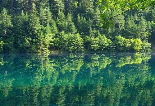 九寨沟旅游自助旅游全攻略