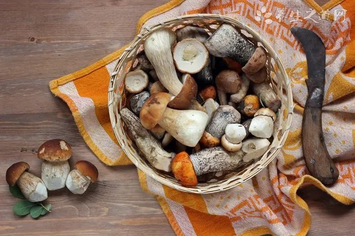 盘点洗面奶的正确使用方法