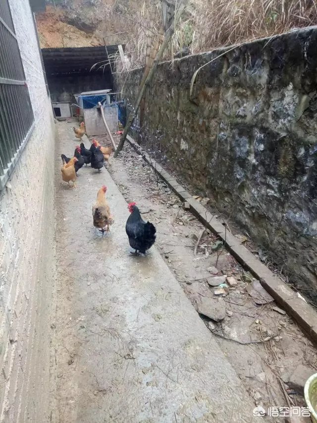 在你们本地,返乡农民工回家乡创业有哪些典型的成功人士?他们创业有哪些经验值得学习?