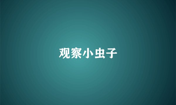 观察小虫子