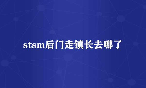stsm后门走镇长去哪了