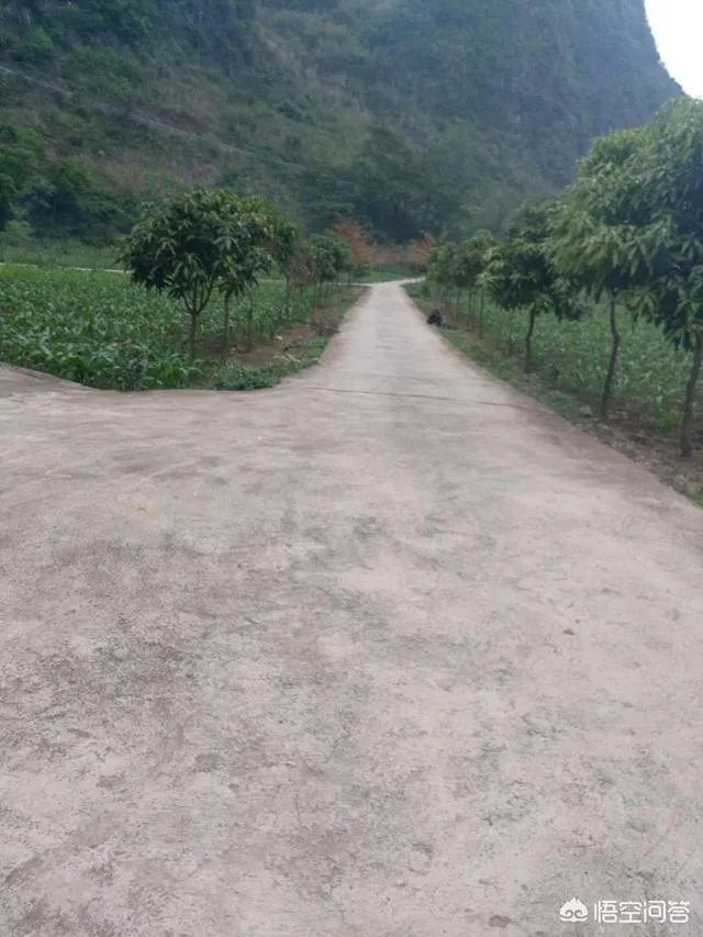 如果人常不在家住还要交卫生费吗