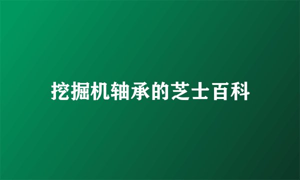 挖掘机轴承的芝士百科