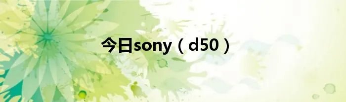 今日sony（d50）