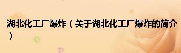 湖北化工厂爆炸（关于湖北化工厂爆炸的简介）