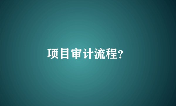 项目审计流程？