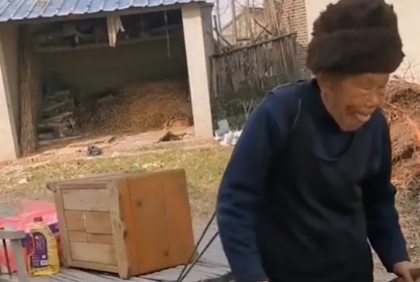 江苏9旬老人独自一人拉着板车搬家，老人的子女为何不帮忙？