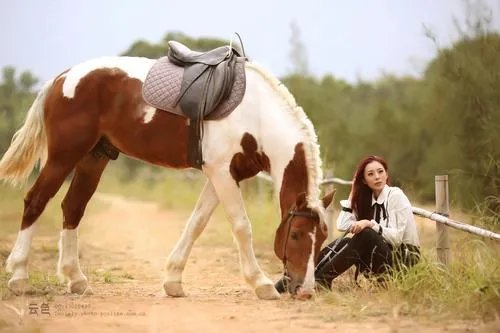 艾尚真为何被称为黄金比例第一美女?