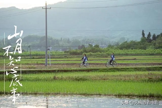 如何评价电视剧《山月不知心底事》？