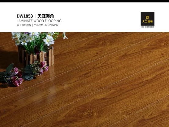家的向往丨大卫地板网络系列 承载美好生活