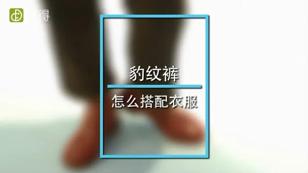 豹纹裤如何搭配衣服