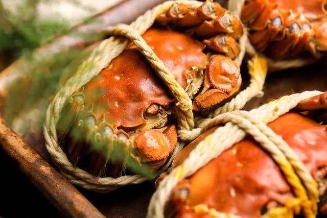 农贸市场提升改造卖什么好？